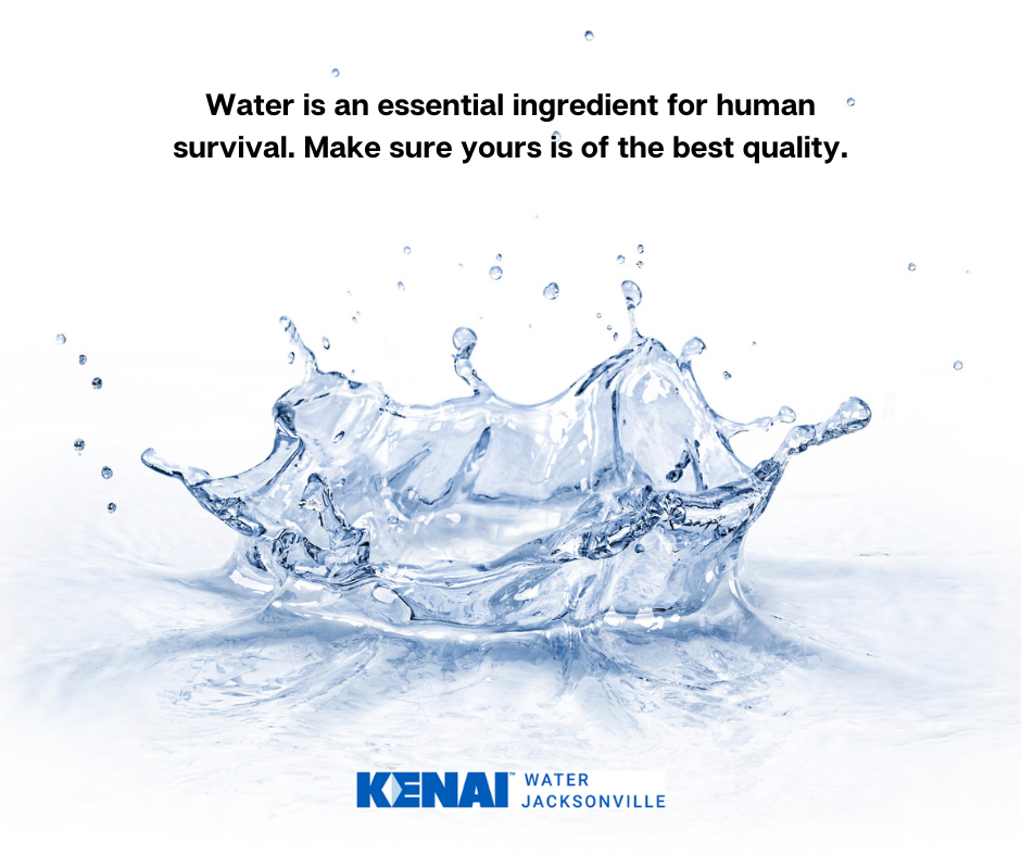 Get the Best Quality Water